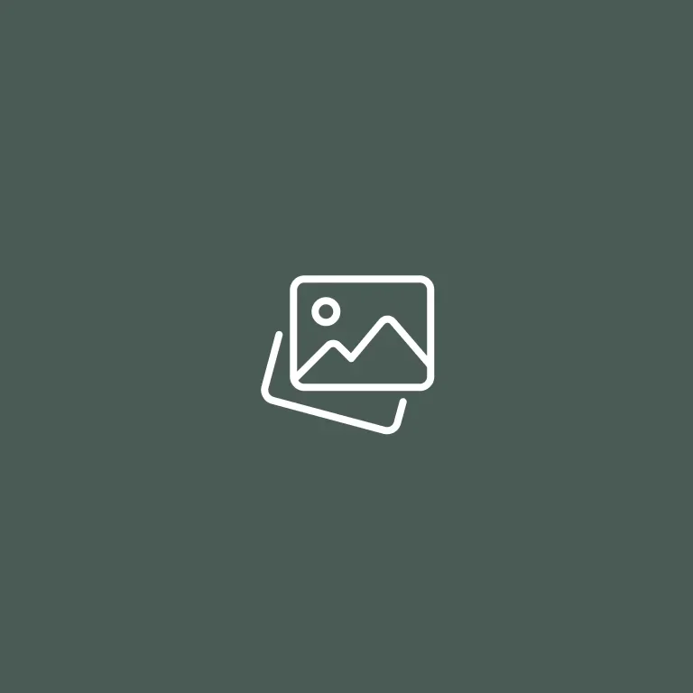 search-placeholder.webp